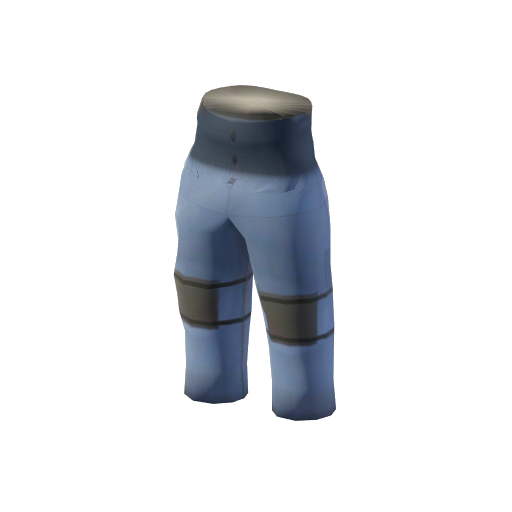 File:Cosmetic Mechanic's Overalls.png