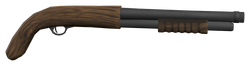 Shotgun