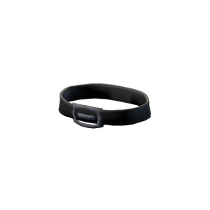 Cosmetic Detective's Belt.png