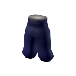 Detective's Trousers